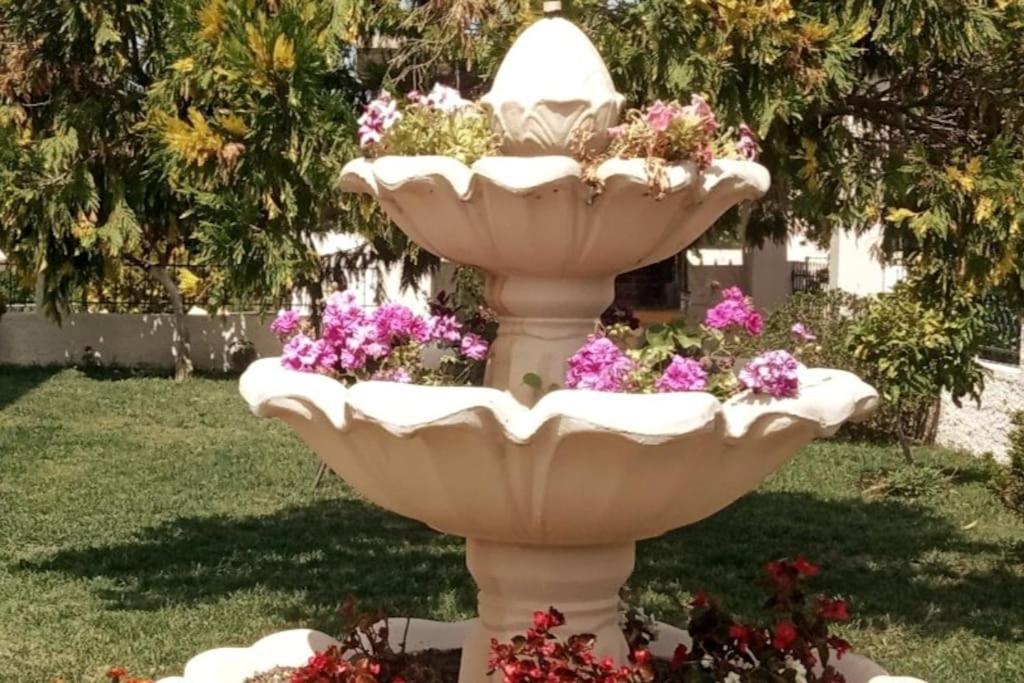 איגומניטסה Διαμέρισμα Μεντησ מראה חיצוני תמונה